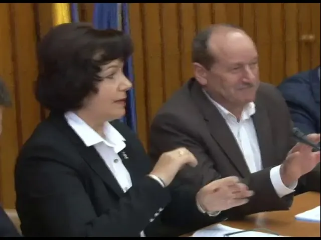 Cărtărescu - Jurnal, partea I