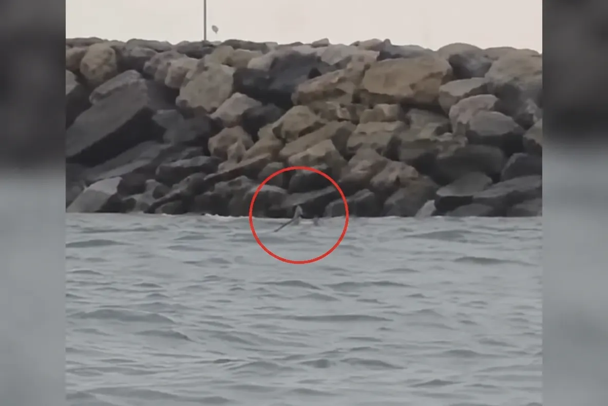 Alertă pe litoral! Dronă maritimă observată la Costinești, lângă un dig VIDEO