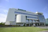  Federaţia Silva solicită corectarea proiectului de reorganizare a subunităţilor Romsilva