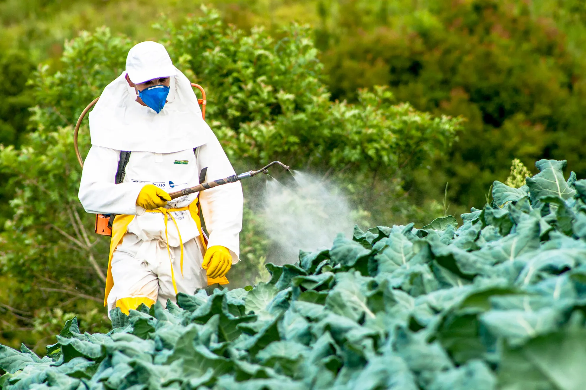 monsanto