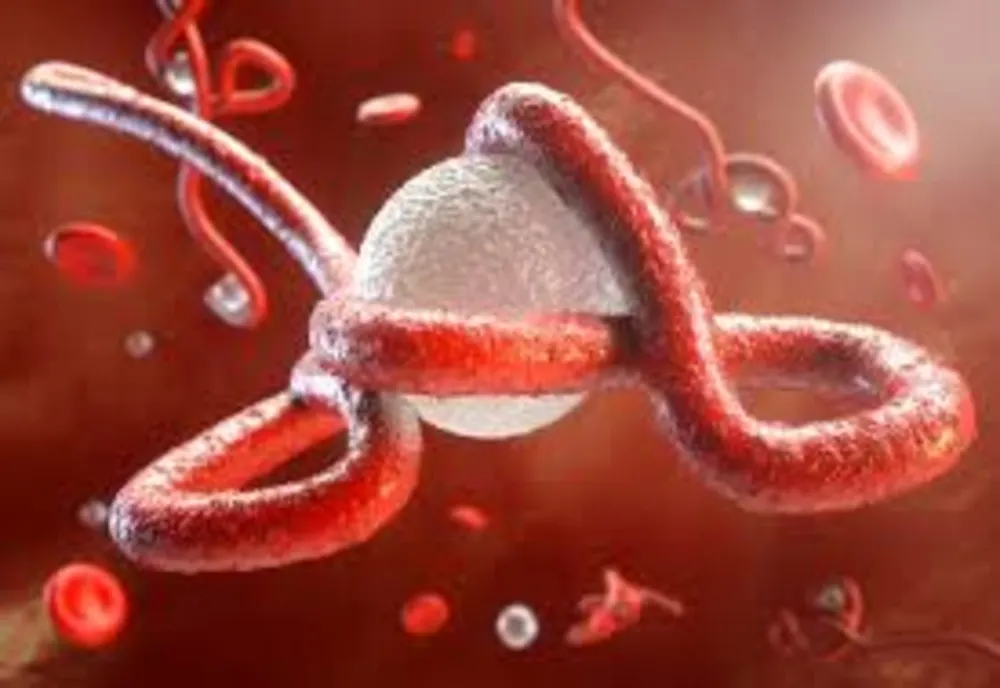 Epidemie de Ebola în Congo: 1.003 cazuri confirmate, 254 de decese și mii de persoane căutate de autorități