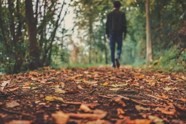 Prognoza meteo pe noiembrie 2026: temperaturi mai scăzute în prima săptămână