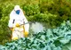 Cazul MONSANTO. Substanţe cancerigene, războaie lobbystice europene şi o Românie care vrea erbicide cât mai multe