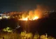 Incendiu în parcul IOR din Sectorul 3 al Capitalei