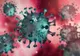 Boala de piele întâlnită la animale a ajuns la oameni