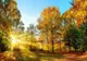 Prognoza meteo, 26 mai: soare, până la 31°C și vânt mai puternic în unele regiuni