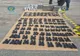 Captură de proporții la Calafat. Ce au descoperit polițiștii de frontieră 