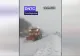 Ninge abundent pe Transfăgărășan. Drumarii intervin cu utilaje de deszăpezire, iar șoferii sunt avertizați